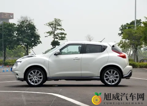 设计跳出三界外 盘点五款国内有一定能见度的“颜王”车-3