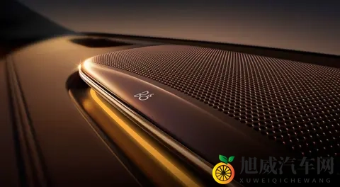 年度压轴旗舰9系，智己LS9 3369万起预售发布-3