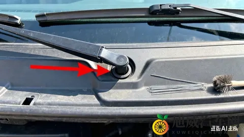 雨天别让爱车“漏水”！5分钟搞定排水孔清理，居家就能操作-2