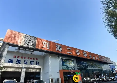 新能源购置税减半落地，泸州车友该如何把握？-2