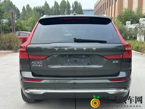 人人爽爽人人：共享快乐，全民皆欢-3