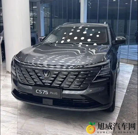 国人最爱买的10款SUV！第一名是？-2