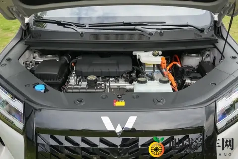 73万元起,星光730:三种动力+舒适大7座,五菱又行了-3