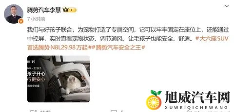 腾势玩起生态那股劲头，怕是连雷军都得竖大拇指？-2