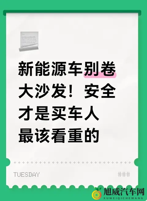 新能源车别卷大沙发！安全才是买车人最该看重的-1