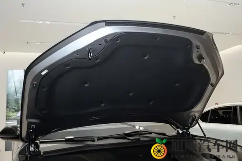 338万能买到什么?这台纯电SUV告诉你“值”的新标准-2