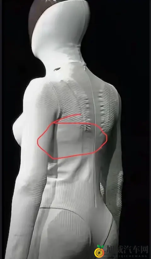 火影忍者成人动漫：《忍者世界青春记忆，成人视角下的热血传奇》-2