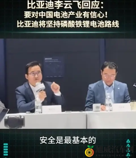 比亚迪将坚持磷酸铁锂电池路线，如何评价？-2