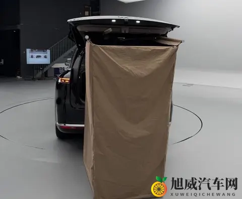 3228万买智己LS9，除了洗澡还能干啥？-1