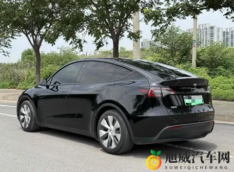 二手特斯拉Model Y购买指南：性价比，风险，未来？-2