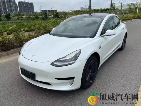 一手20年Model3，56秒破百，10万多体验纯电乐趣-3