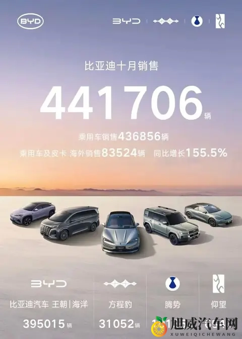 秦宋开道，比亚迪布局2026车市-3