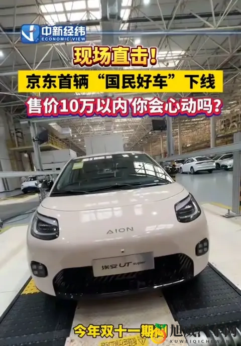 京东首款“国民好车”下线，53秒产一辆。首辆车半月前7800万拍出-2