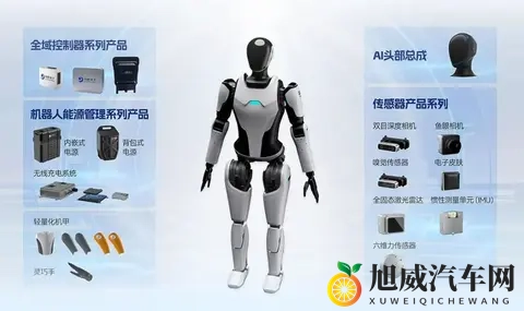 汽车Tier1的下一个十年，赌在机器人？-1