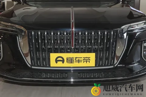 2025 款红旗 H9 选购指南：外观、配置与动力的场景化匹配-2
