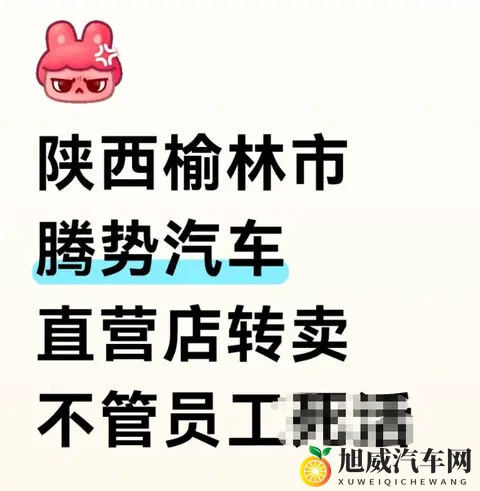 腾势直营门店“腾退”？销售曝料渠道转经销商，官方尚未回应-1