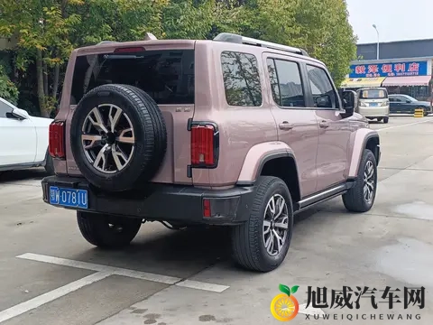 14万多拿下硬派越野！22年坦克300，圆你诗和远方-1