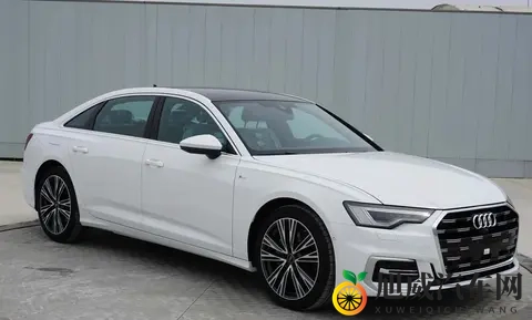 奥迪A6L设计“大变脸”引争议：是大胆革新还是用力过猛？-1