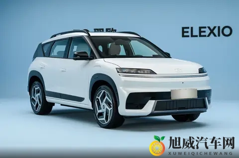 科技感与实用性平衡，1198万起，EO羿欧值得选？-2