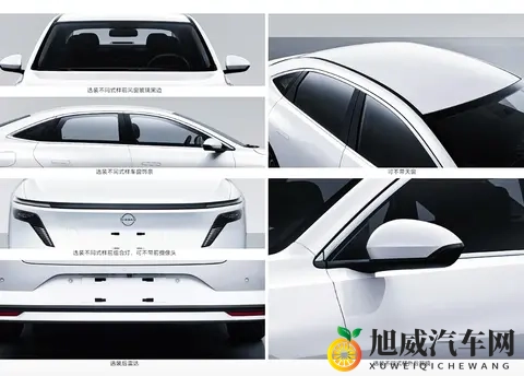 69乐园夫妇交友群：汽车未来可期：新能源汽车引领变革潮流-2