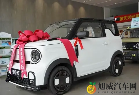 迟到的提车作业 吉利熊猫mini提车日记分享+验车步骤+当地习俗-2