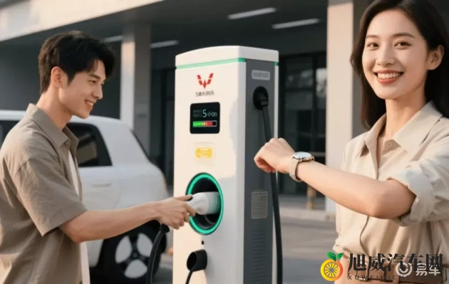 看黄神器：汽车娱乐新潮流，个性化车载系统揭秘-1