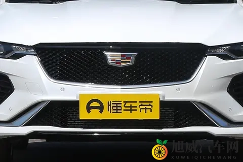 福利姬免费看：汽车迷福利大放送，独家内容等你来体验-3