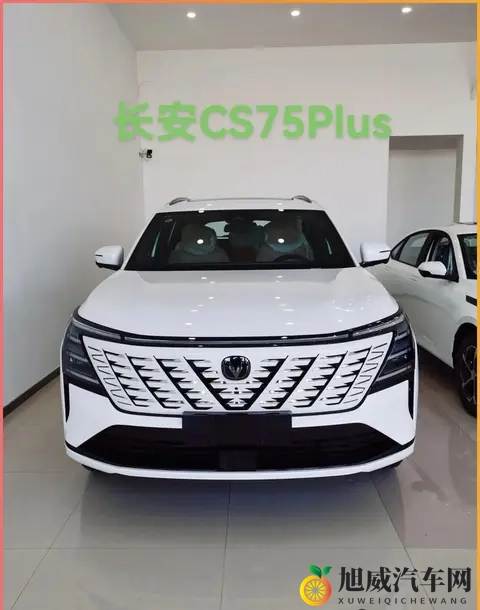 6款即将上市的”，中年大叔的“心头好”，看看有没有你喜欢的？-2