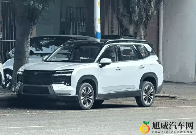 胡桃挤出白色汁液的解决方法：车内难题：揭秘如何防止胡桃汁液困扰-2