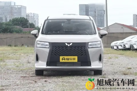 星光730,768万起开启预售,一车3动力,电动侧滑门-3