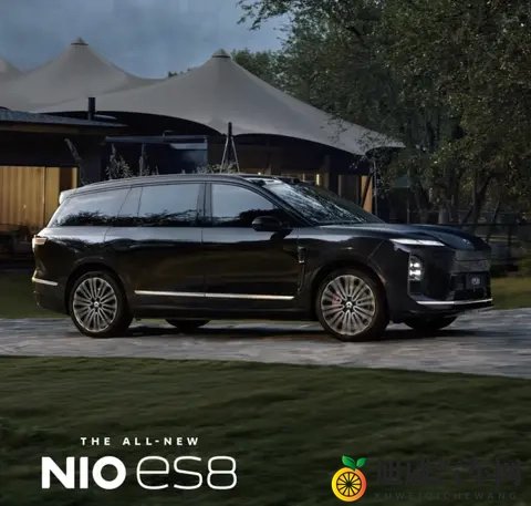 连续三周周销破万，蔚来销量揭示大三排SUV市场纯电已登基-2