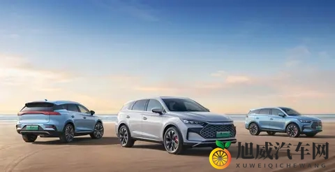 华为代言人挡国产车入美，却对比亚迪唱征服？-3