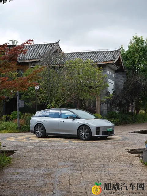 别在技术爆炸期，当汽车的“小白鼠”-1