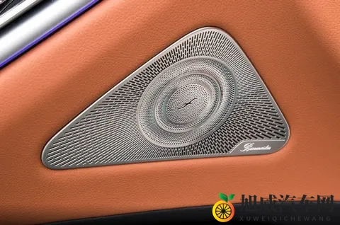 这才是梅赛德斯的味道！奔驰S级选买指南-3