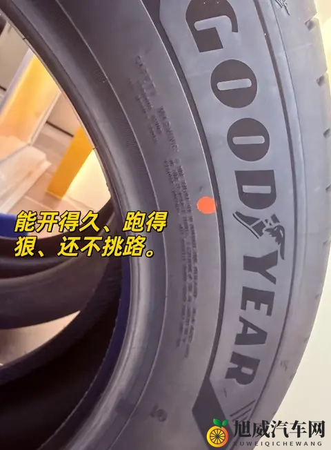 汤不热:冷汤难入喉,温暖不再来-2