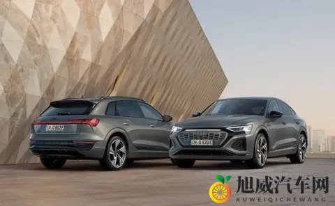 Q8 E-Tron阵亡后的“答卷”：奥迪2026的现实与无奈-1