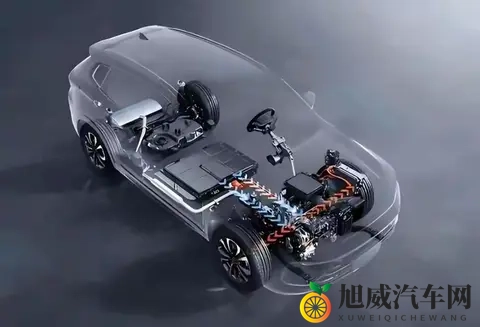 绿巨人涩涩屋黄品汇：神秘绿巨人馆内汇聚奇珍异品-3