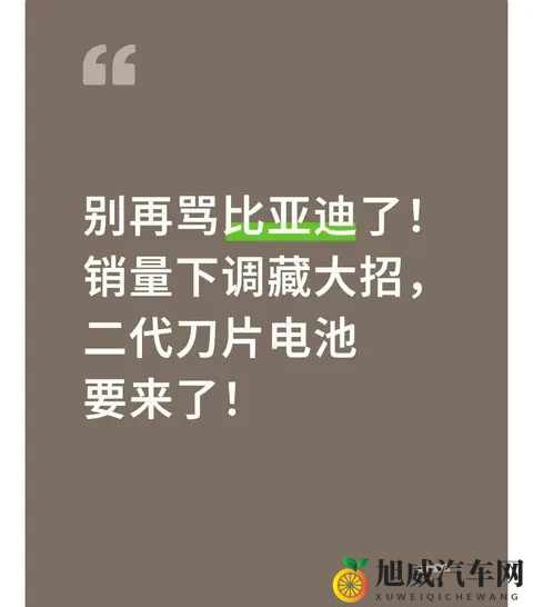 别再骂比亚迪了！销量下调藏大招，二代刀片电池要来了！-1