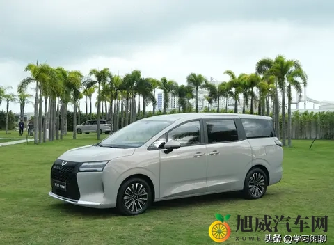 预算10万内可以闭眼入！双独悬 + 续航1100km，大7座MPV，768万起-3