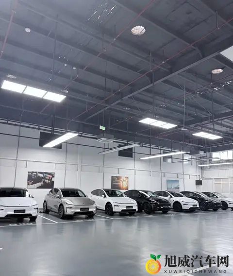 Model Y，黑白当道，未来会怎样-2