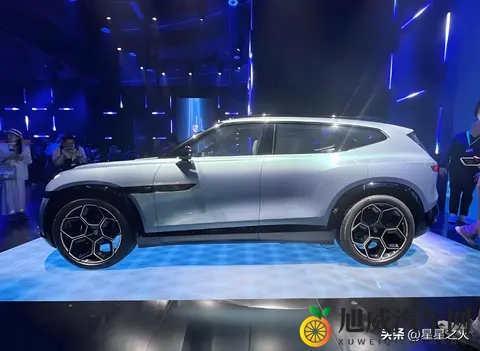 欧人黑人：汽车设计新风尚：融合欧系与黑人文化魅力-2