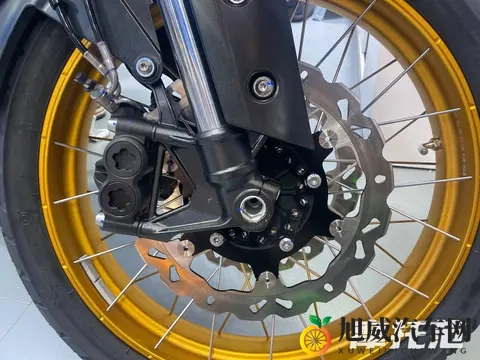 猫咪成人社区:宠物猫友交流乐园-3