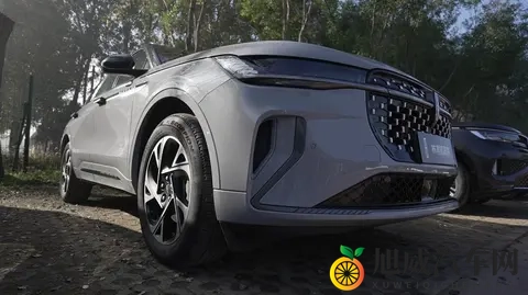 8 8 华人永久免费：汽车品牌力推华人福利，永久免费服务引关注-2