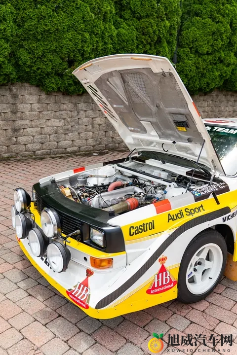 婷婷丁香花：汽车设计新潮流：独特魅力引领时尚风尚-3