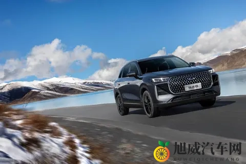 10万元级大五座SUV，全新瑞虎8上市，这价格你满意吗？-3