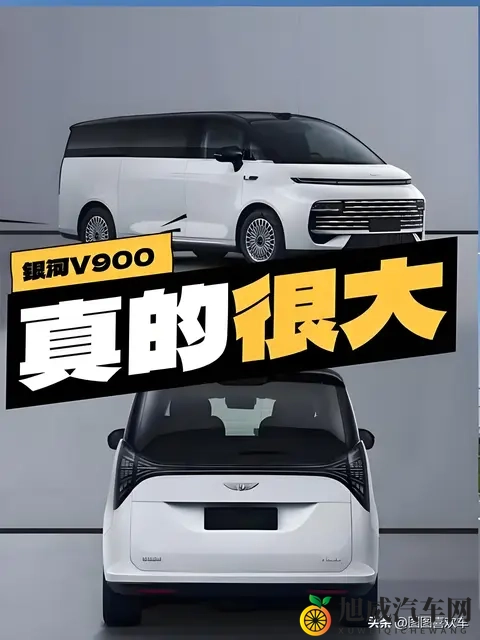 打扑克又：牌桌再战，欢乐重燃时刻-1