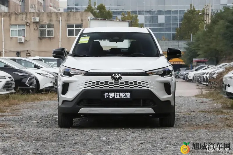 扒下胸罩和内裤用羽毛挠痒痒：汽车座椅新花样：羽毛挠痒痒体验舒适新境界-1