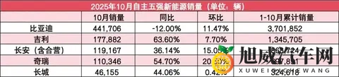 自主5强10月销量：吉利破30万，长城涨超20%，比亚迪第一但下滑-3