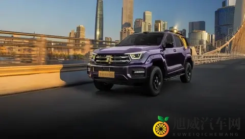 2498万元起，全新坦克400多动力齐发-1