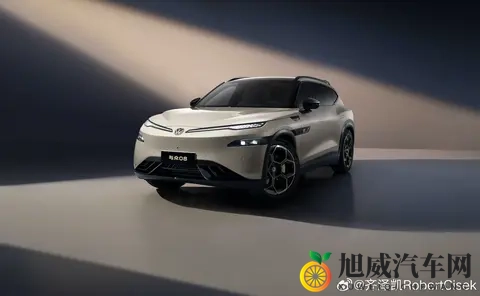 大众与众08官图发布：800V快充+3米轴距，2026年投产-1